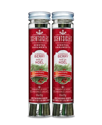 National Tree Company Scentsicles Scented Ornaments, 6 Count Bottles, Infused Paper Sticks, 2 Pack Set