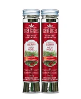 National Tree Company Scentsicles Scented Ornaments, 6 Count Bottles, Infused Paper Sticks, 2 Pack Set