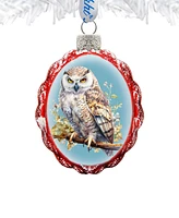 Designocracy Owl Keepsake Christmas Mercury Glass Ornaments G. DeBrekht