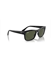 Ray-Ban Unisex Sunglasses RB4428