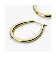 Ana Luisa Gold Hoop Earrings - Cuidado