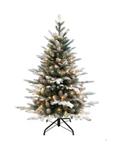 Kurt Adler 4' Pre-Lit Clear Incandescent Frosted Pine Tree