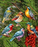 Designocracy Holiday Wooden Clip-On Ornaments Forest Birds Set of 6 G. DeBrekht