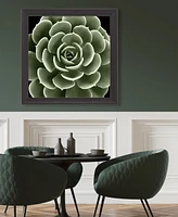 Green Succulent Iv Framed Art