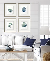 Plant Drawings Framed Art, Set of 4