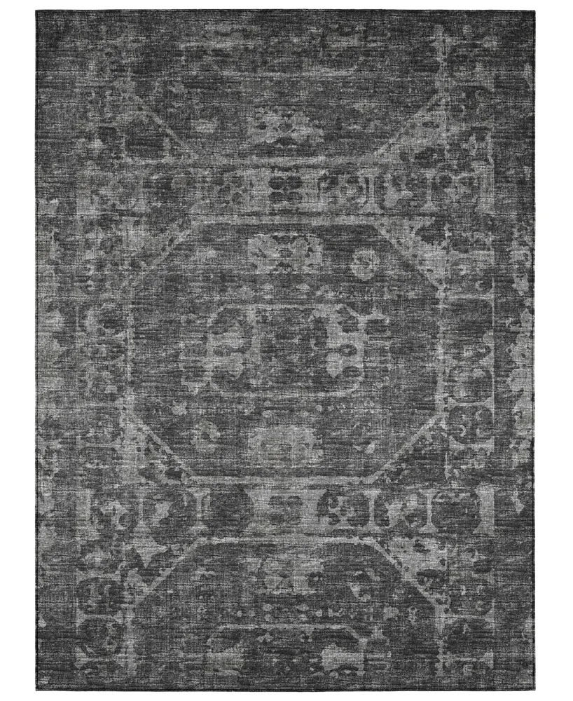 Addison Othello Outdoor Washable AOT32 10' x 14' Area Rug