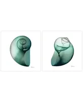 Empire Art Direct Shimmering Snail I Ii Frameless Free Floating Tempered Glass Panel Graphic Wall Art, 24" x 24" x 0.2" Each