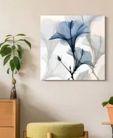 Empire Art Direct "Blue X-Ray Floral" Frameless Free Floating Tempered Glass Panel Graphic Wall Art, 24" x 24" x 0.2"