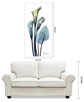 Empire Art Direct "CaLIa LIly" Frameless Free Floating Tempered Glass Panel Graphic Wall Art, 48" x 24" x 0.2"