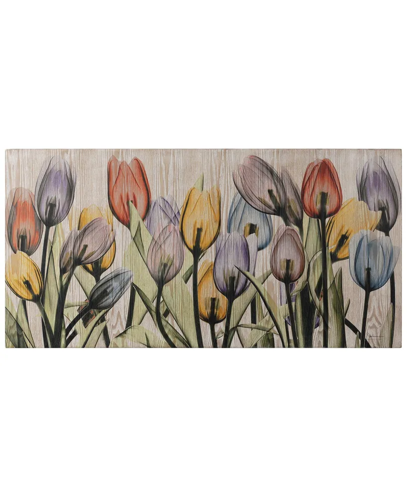 Empire Art Direct "Tulipscape" Fine Radiographic Photography Giclee Printed Directly on Hand Finished Ash Wood Wall Art, 48" x 24" x 1.5" - Multi