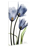 Empire Art Direct "Three Blue TuLIps" Frameless Free Floating Tempered Glass Panel Graphic Wall Art, 48" x 24" x 0.2"