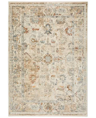 D Style Perga PRG4 7'10" x 10' Area Rug
