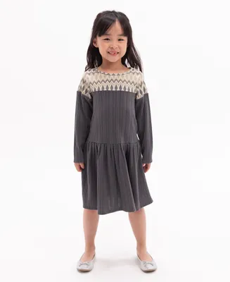 Rare Editions Toddler Girls Long Sleeve Drop Waist Rib Knit Dress