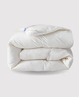 Royal Elite All Season Comforter