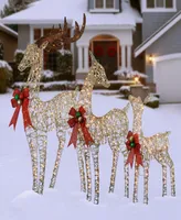 National Tree Company 60", 52" & 36" Champagne Glittered Deer Family of 3 with Clear Lights