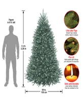 National Tree 7.5 Ft Dunhill Blue Fir