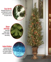 National Tree Company 4' Crestwood Spruce Entrance Tree with 100 Clear Lights