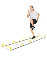 Raised Agility Ladder, 6 rungs