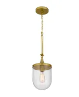 26" Height Metal Pendant with Clear Bubble Glass Shade