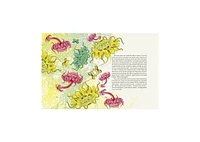 Entangled Life- The Illustrated Edition- How Fungi Make Our Worlds by Merlin Sheldrake
