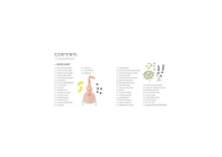 Gin A Tasting Course- A Flavor-focused Approach to the World of Gin by Anthony Gladman