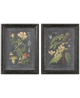 Uttermost Wall Art, Midnight Botanicals