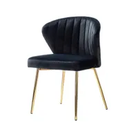 Hulala Home Aruna Velvet Side Chair with Metal Legs