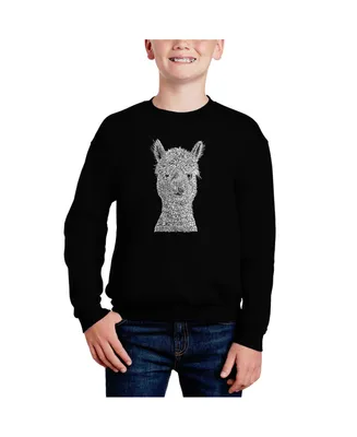 Alpaca - Big Boy's Word Art Crewneck Sweatshirt