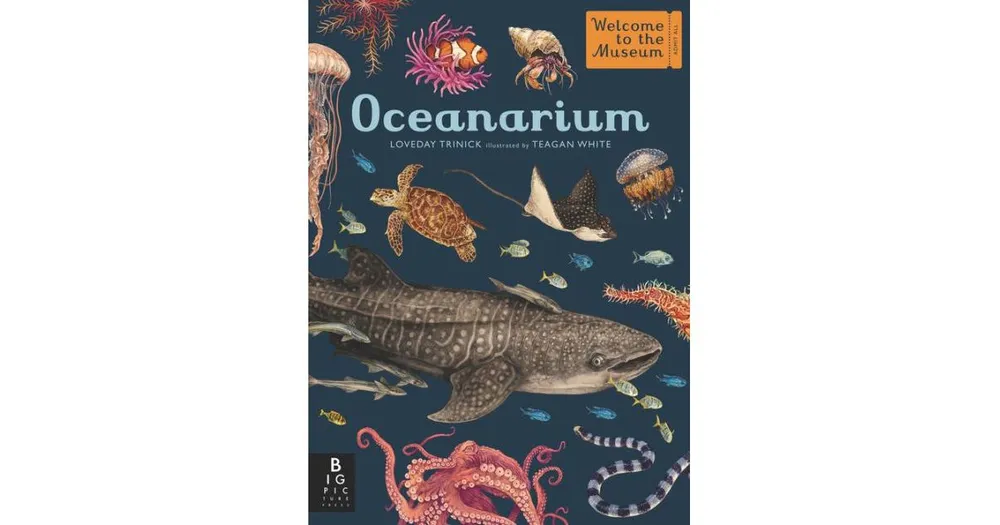 Oceanarium