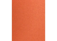 Women's Quinn Bottom