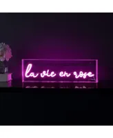 Jonathan Y La Vie En Rose Contemporary Glam Acrylic Box Usb Operated Led Neon Light