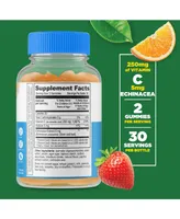 Lifeable Sugar Free Vitamin C for Kids 250 mg Gummies - Immune System - Great Tasting Natural Flavor, Dietary Supplement Vitamins - 60 Gummies