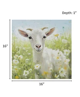 Madison Park Sunshine Animals Goat Canvas Wall Art