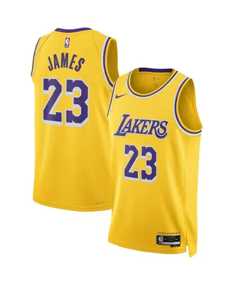Men's and Women's Nike LeBron James Los Angeles Lakers / Swingman Jersey