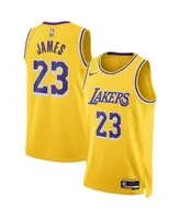 Men's and Women's Nike LeBron James Gold Los Angeles Lakers Swingman Jersey - Icon Edition