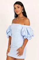 Fern Puff Sleeve Mini Women's Dress