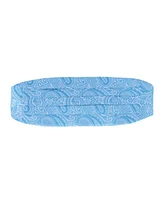 Trafalgar Men's Sobee Paisley Silk Cummerbund