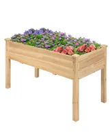 Wooden Raised Vegetable Garden Bed Elevated Grow Vegetable Planter
