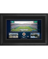 Carolina Panthers Framed 10" x 18" Stadium Panoramic Collage with Game-Used Football - Limited Edition of 500