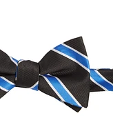 Tayion Collection Men's Royal Blue & White Stripe Bow Tie