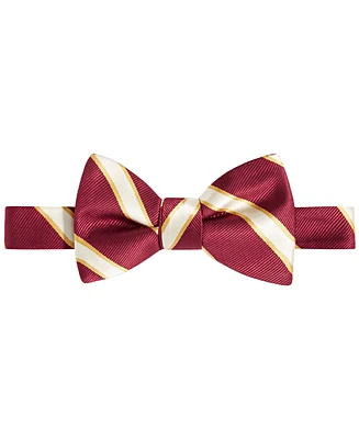Tayion Collection Men's Crimson & Cream Stripe Bow Tie