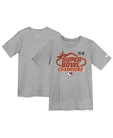 Little Boys and Girls Nike Gray Kansas City Chiefs Super Bowl Lviii Champions Locker Room Trophy Collection T-shirt