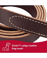 Coastal Pet Circle T by Latigo Leather Twist Dog Leash with Brass Hardware (6') & Latigo Leather Round Dog Collar (3/8" x 14")