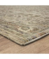 Karastan Divina Bliss 2'6" x 7'10" Runner Area Rug