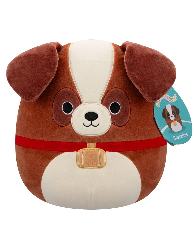 Squishmallows 8" Sassafras, St. Bernard with Neck Barrel Plush