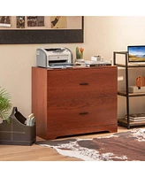 Costway 2-Drawer Wood Lateral File Cabinet with Adjustable Bars for Home Office