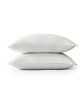ienjoy Home Plush Down Alternative Cooling Gel-Infused Fibers 2-Pack Pillows
