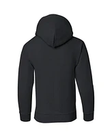Fantastic Beasts Boys Youth Logo Pull Over Hoodie / Hooded Sweatshirt