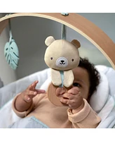 Cozy Spot Soothing Bouncer
