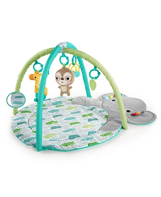 Hug ‘n Cuddle Activity Gym
